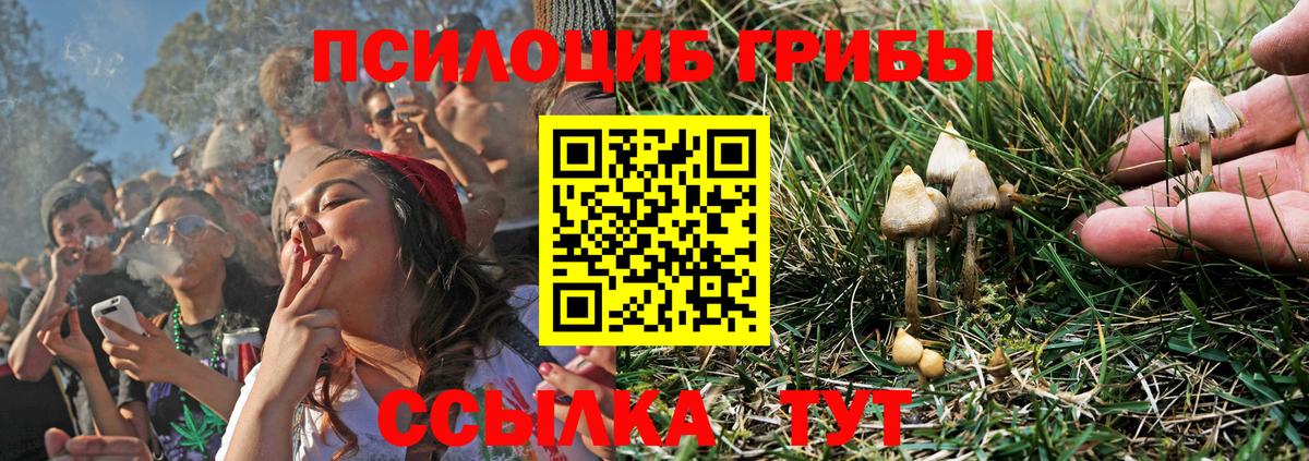 Галлюциногенные грибы Magic Shrooms  Вход с VPN  где найти   Моздок  Псилоцибиновые грибы Psilocybine cubensis 