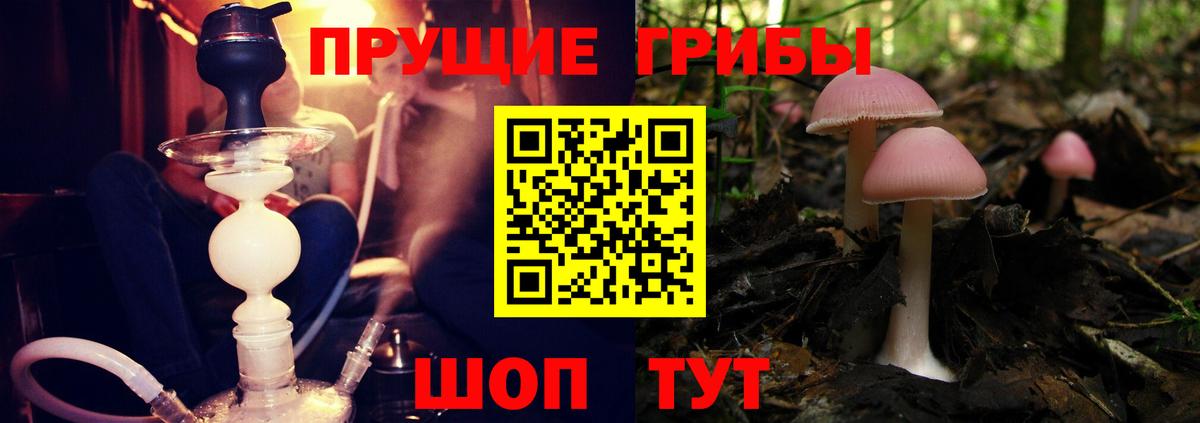 Галлюциногенные грибы мухоморы Моздок
